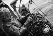 The Lyme Bay Marine reserve – a  story of success